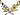 #1271 #1271